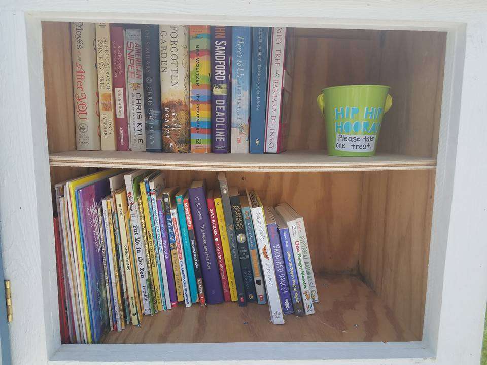 Avas Little Free Library #43915 | 10859 45th Ave, Pleasant Prairie, WI 53158 | Phone: (262) 818-9004