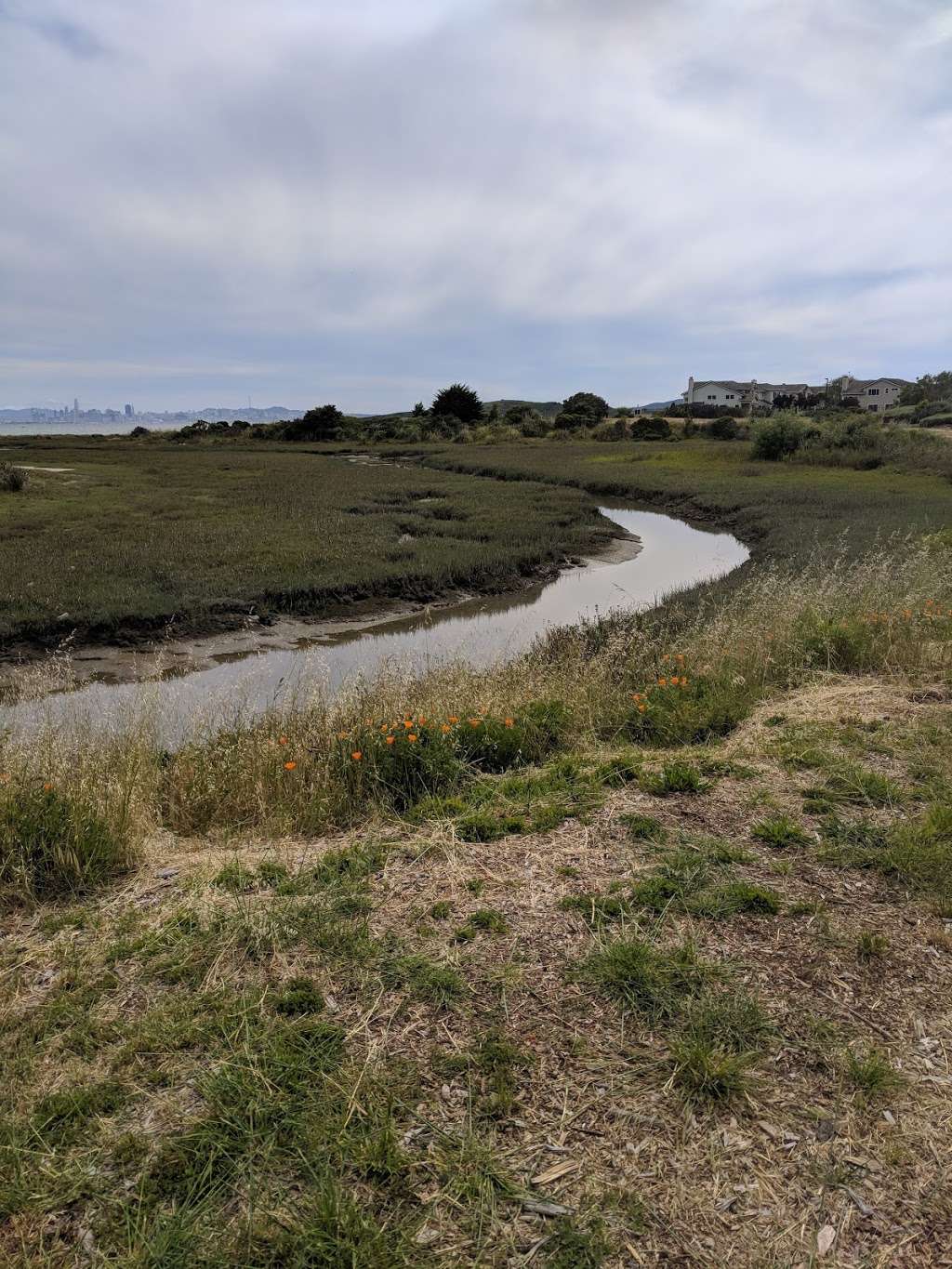 Meeker Slough | Richmond, CA 94804, USA