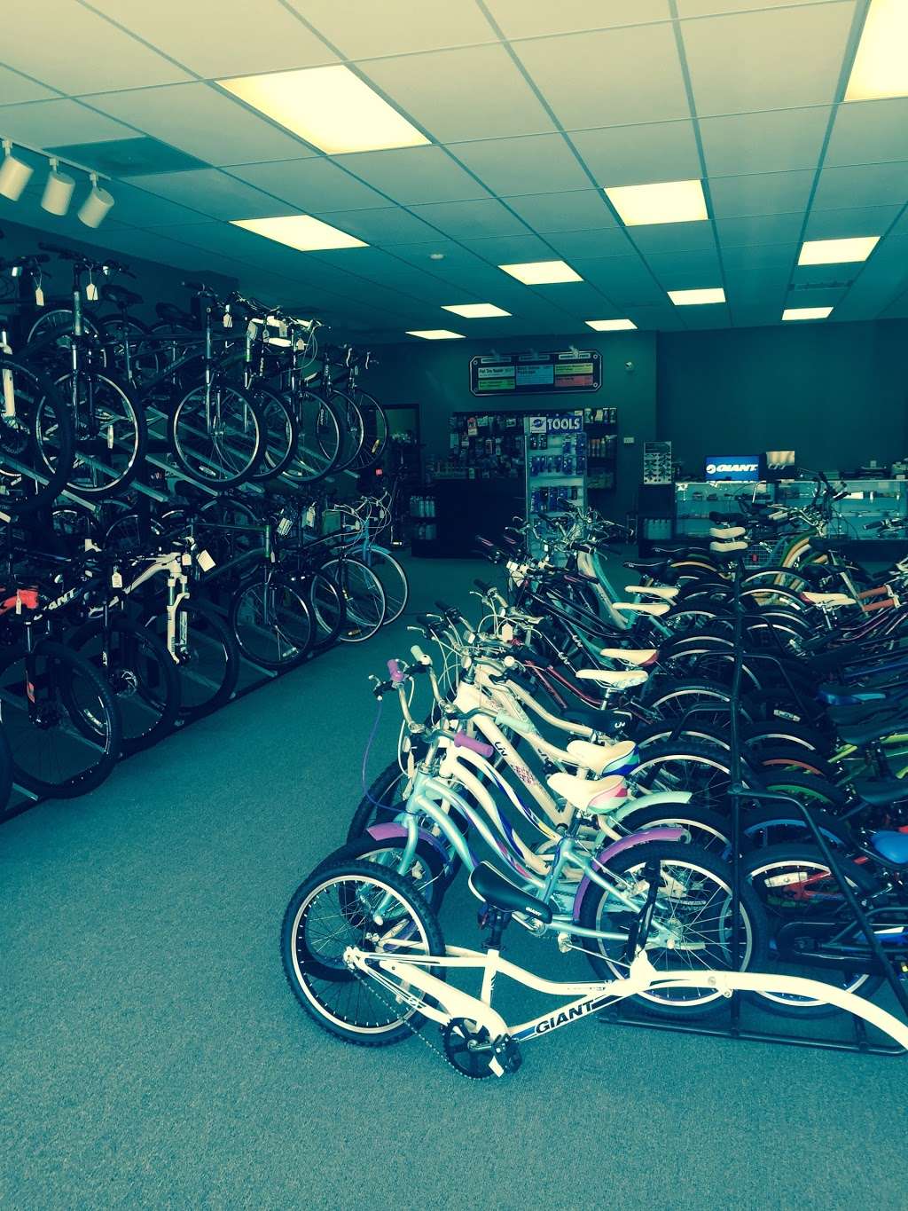 Bike Werks - Bicycle Repairs, Sales, and Accessories | 1580 Kingwood Dr a, Kingwood, TX 77339, USA | Phone: (281) 361-7171