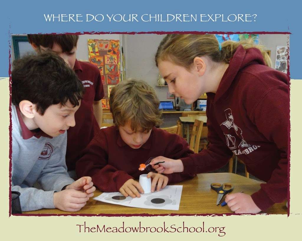 The Meadowbrook School | 1641 Hampton Rd, Meadowbrook, PA 19046, USA | Phone: (215) 884-3238