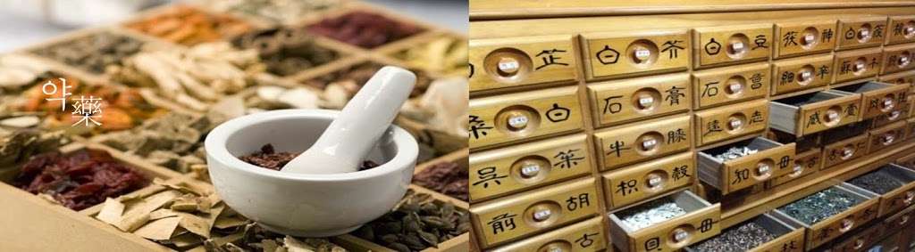 New Vision Acupuncture & Herbs | 489 NY-32, Highland Mills, NY 10930, USA | Phone: (845) 928-8689