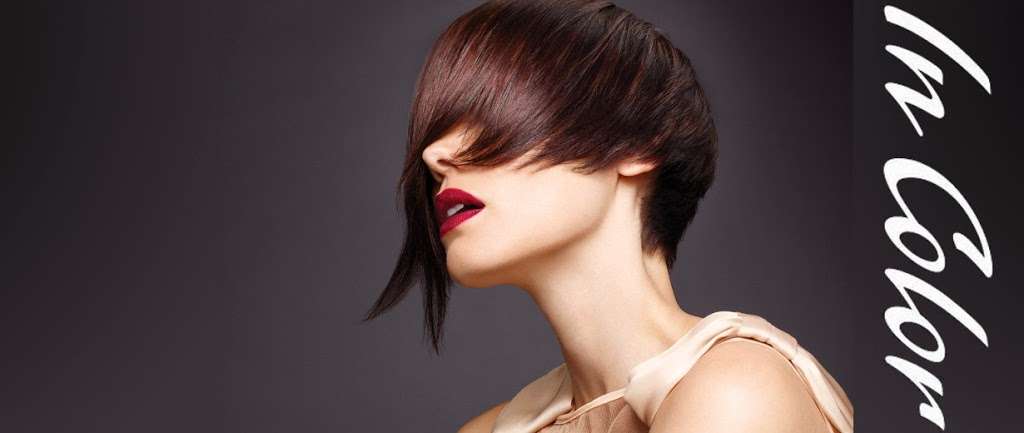 In Color Salons | 13551 Will Clayton Pkwy, Humble, TX 77346 | Phone: (281) 812-0708