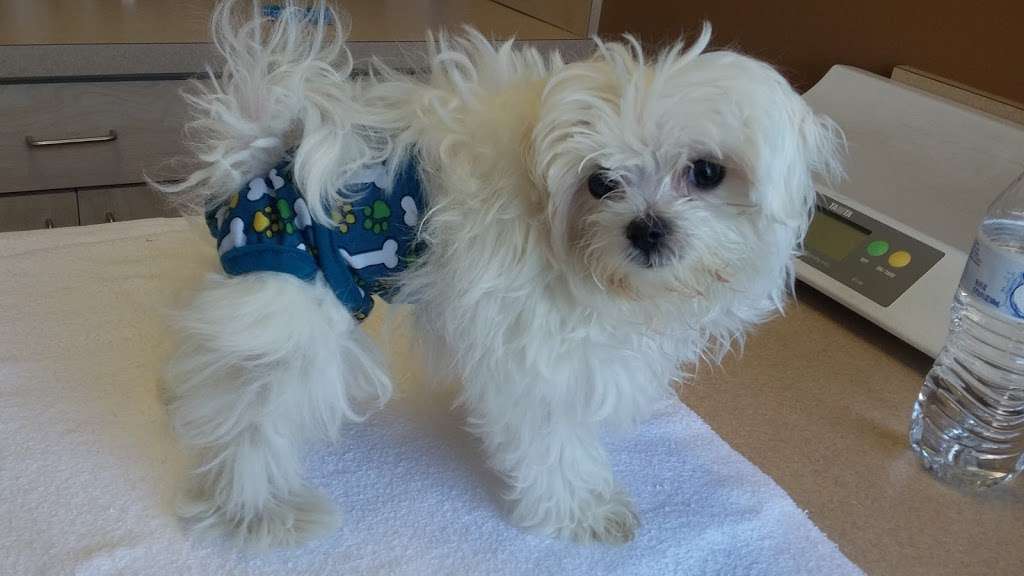 vca columbia at centre park