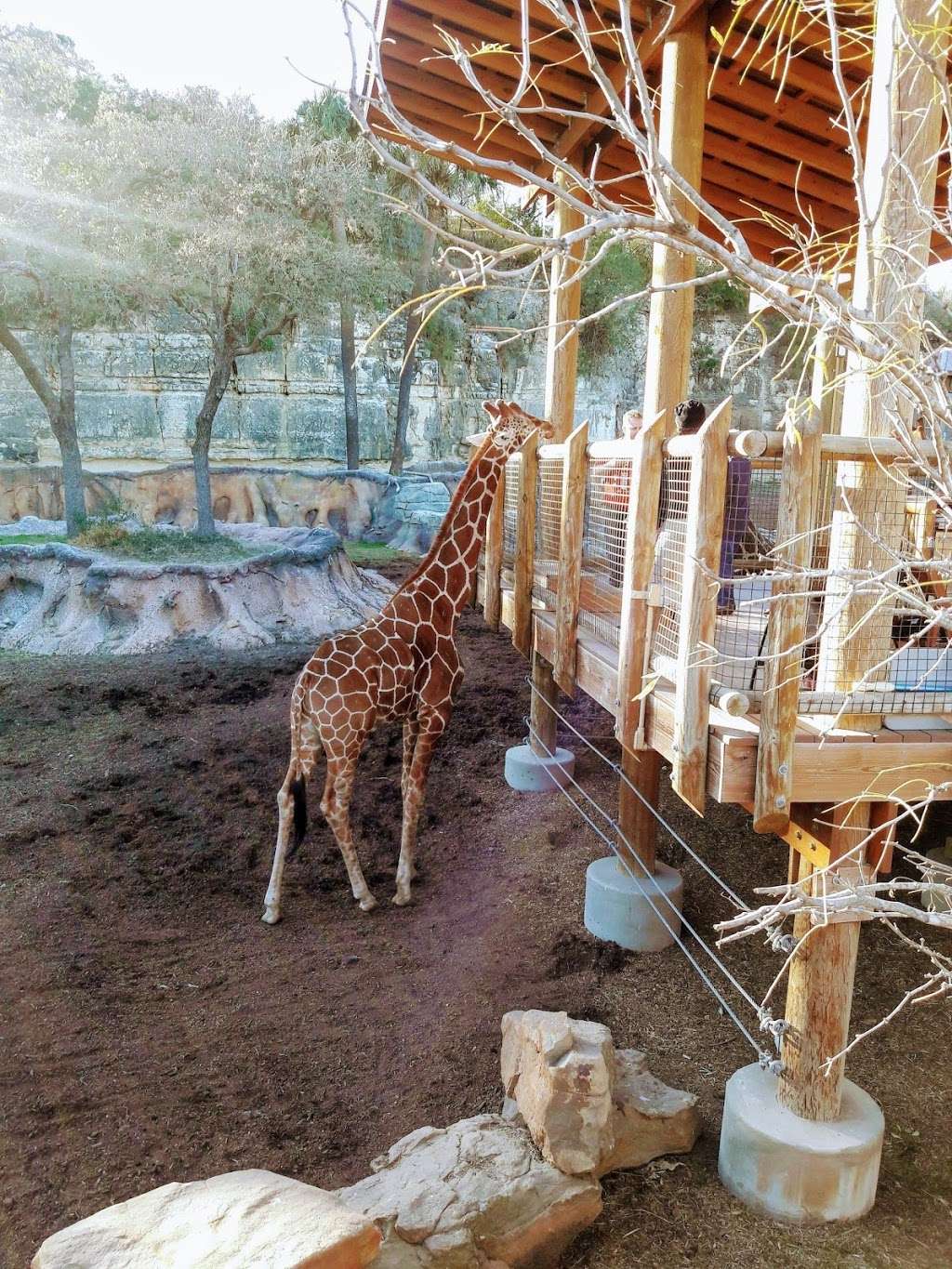 San Antonio Zoo | 3903 N St Marys St, San Antonio, TX 78212, USA | Phone: (210) 734-7184