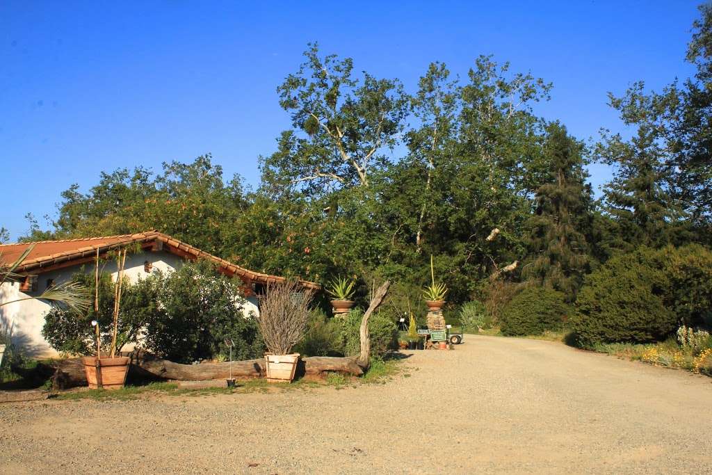 Tree of Life Nursery | 33201 CA-74, San Juan Capistrano, CA 92675 | Phone: (949) 728-0685