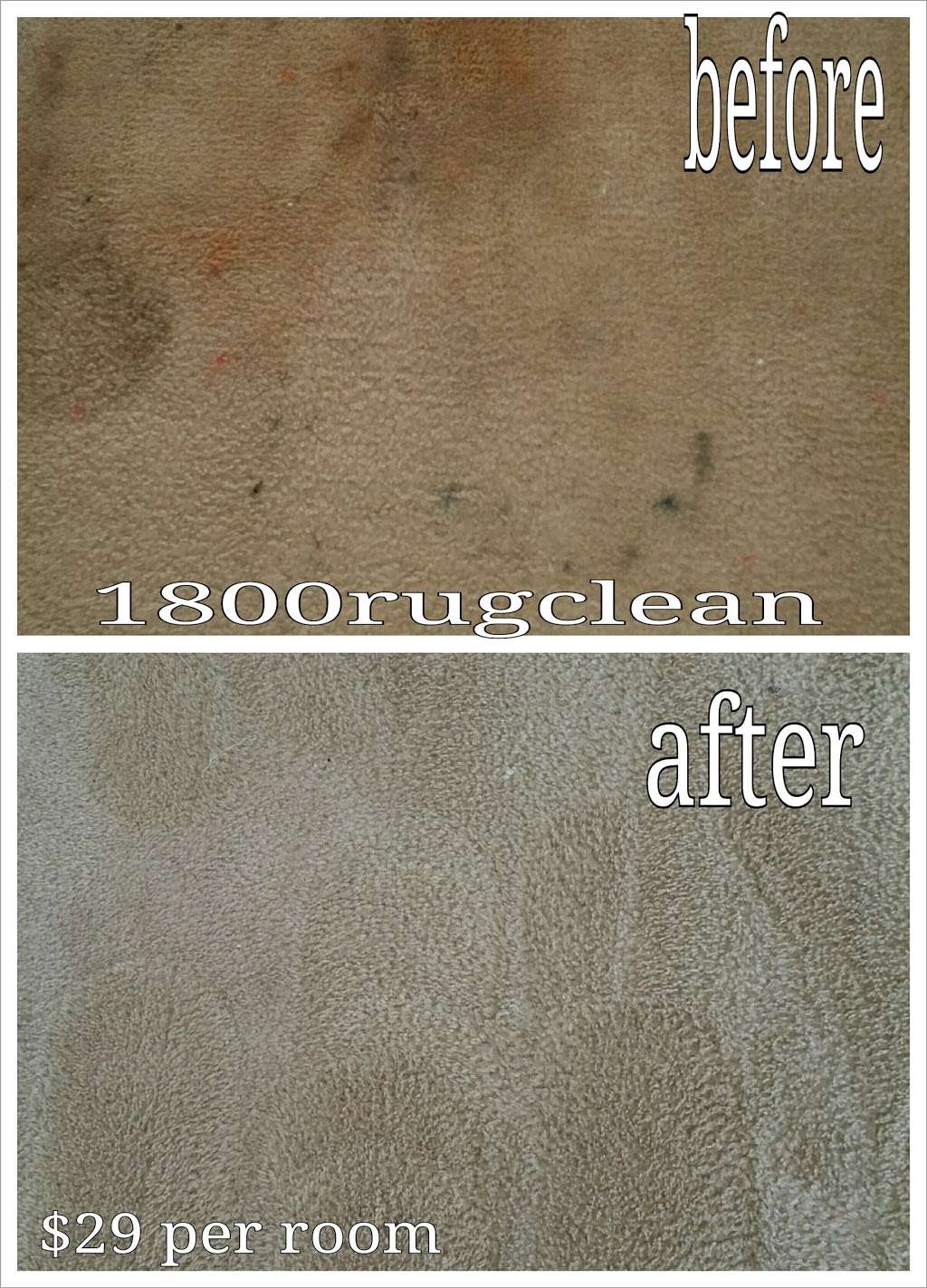 1800rugclean | 581 Rockaway St, Staten Island, NY 10307, USA | Phone: (800) 784-2532