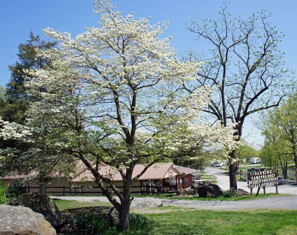 Artillery Ridge Campground Gettysburg Horse Park | 610 Taneytown Rd, Gettysburg, PA 17325 | Phone: (717) 334-1288