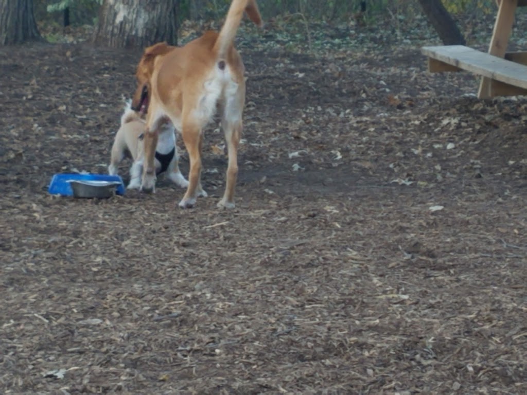 Locke County Dog Park | Rice Creek West Regional Trail, Fridley, MN 55432, USA | Phone: (763) 757-3920