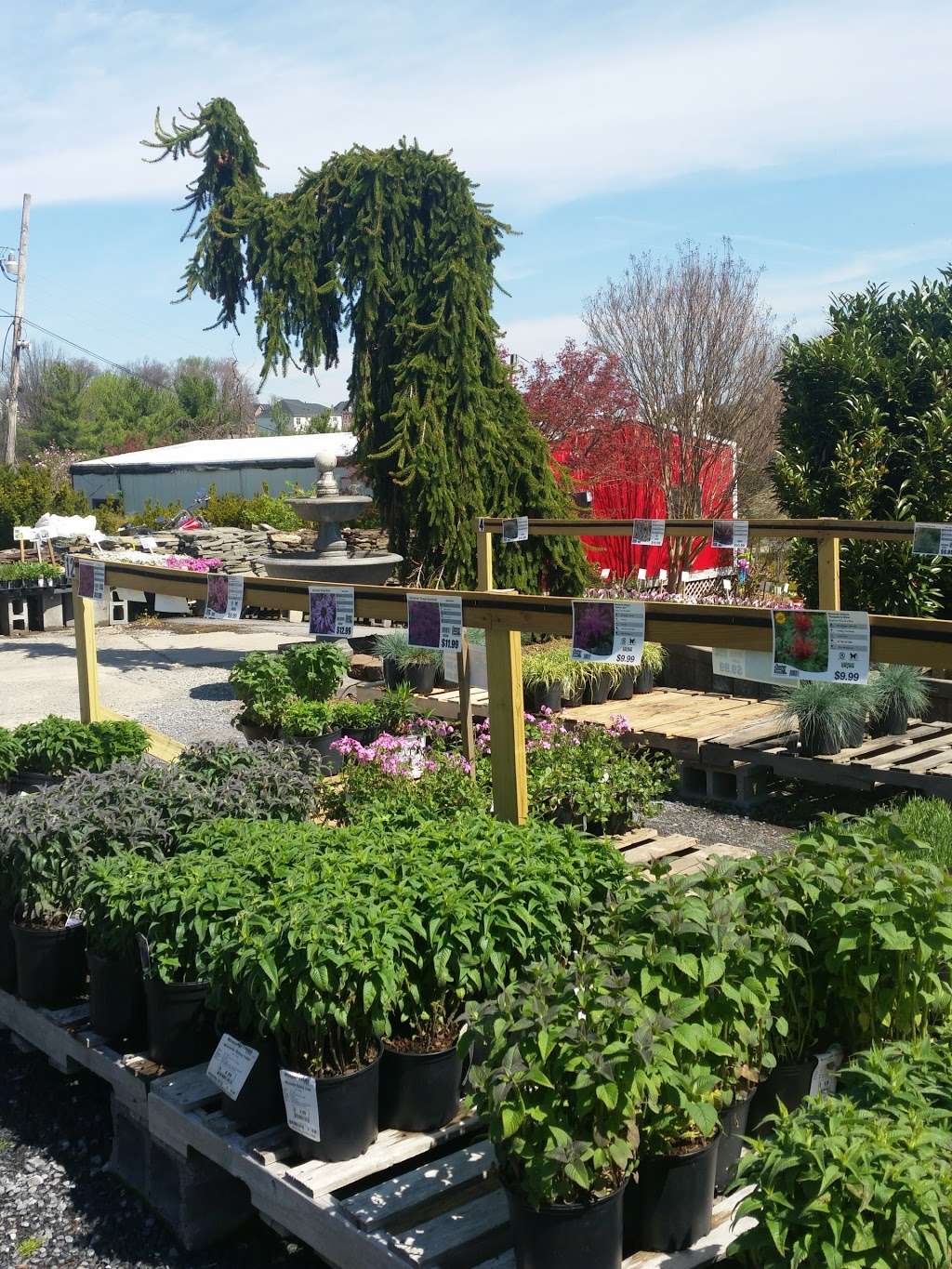 Meadows Farms Nurseries & Landscaping | 11406 Hawkes Rd, Clarksburg, MD 20871 | Phone: (301) 353-0098