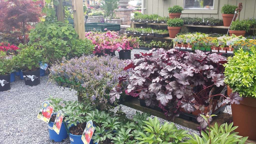 Whartons Garden Center | 35557 Airport Rd, Rehoboth Beach, DE 19971, USA | Phone: (302) 278-7041