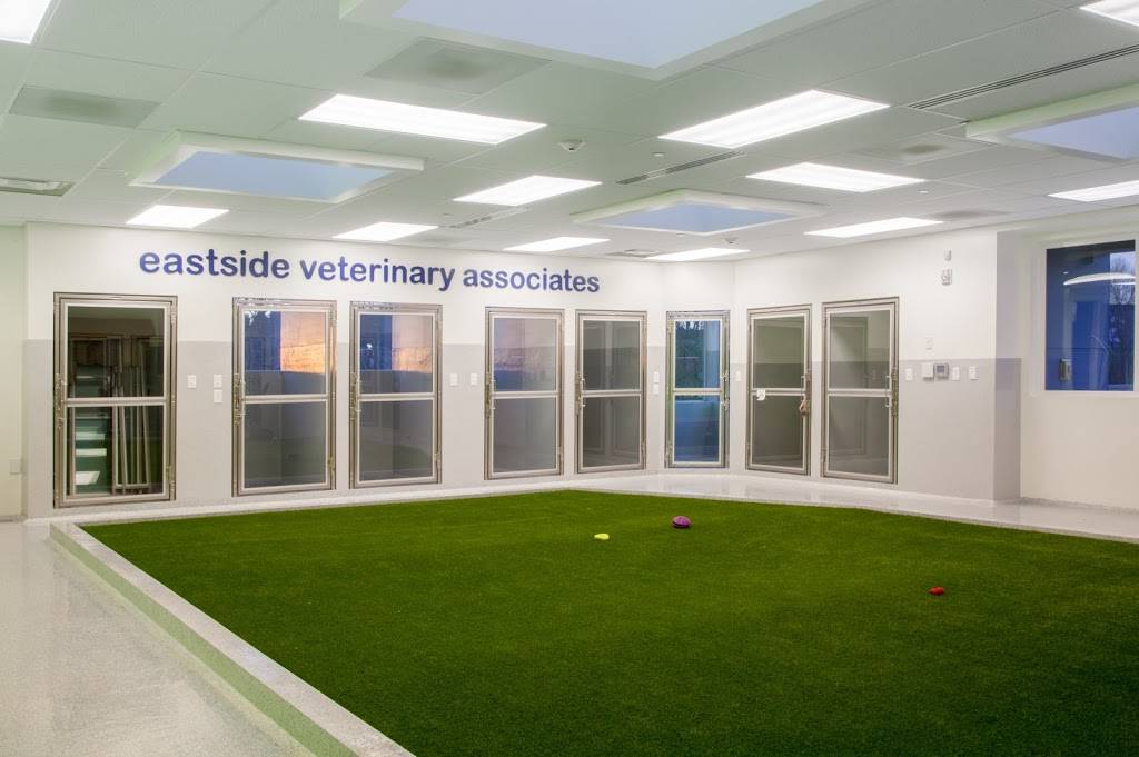 Eastside Veterinary Associates - Renton / Newcastle | 1700 NE 44th St, Renton, WA 98056, USA | Phone: (425) 276-4100