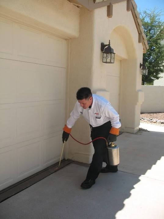 Rigo Pest Prevention | 8420 Camas Way, Tucson, AZ 85742 | Phone: (520) 744-6177