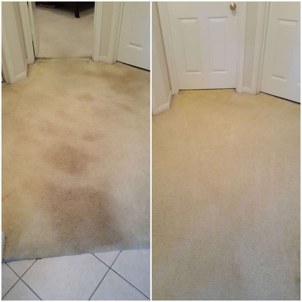 Acme Carpet Cleaning | 950 C.R. 941D, Alvin, TX 77511, USA | Phone: (281) 464-7900