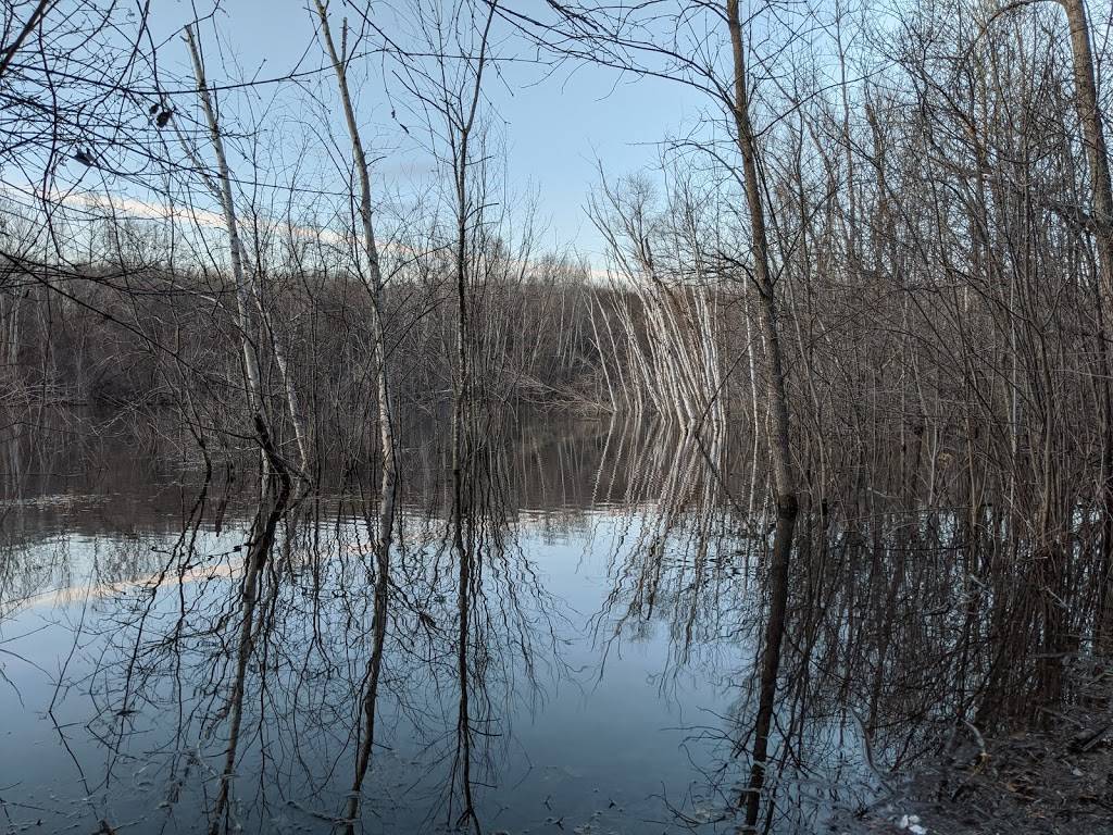 Sally Manzara Interpretive Nature Center | Sunfish Lake Park, Entry Road, Lake Elmo, MN 55042 | Phone: (651) 408-2838