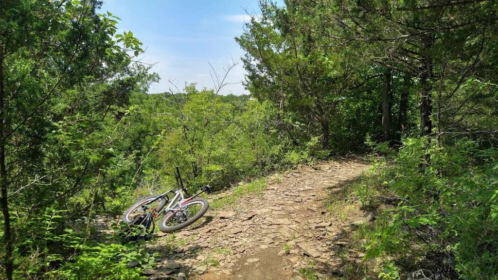 Blue River Parkway Trails - Blue Ridge Blvd Trail Head | 12600 Blue River Rd, Kansas City, MO 64146, USA