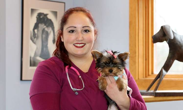 Ashland Animal Hospital | 10 Fountain St, Ashland, MA 01721, USA | Phone: (508) 881-2400