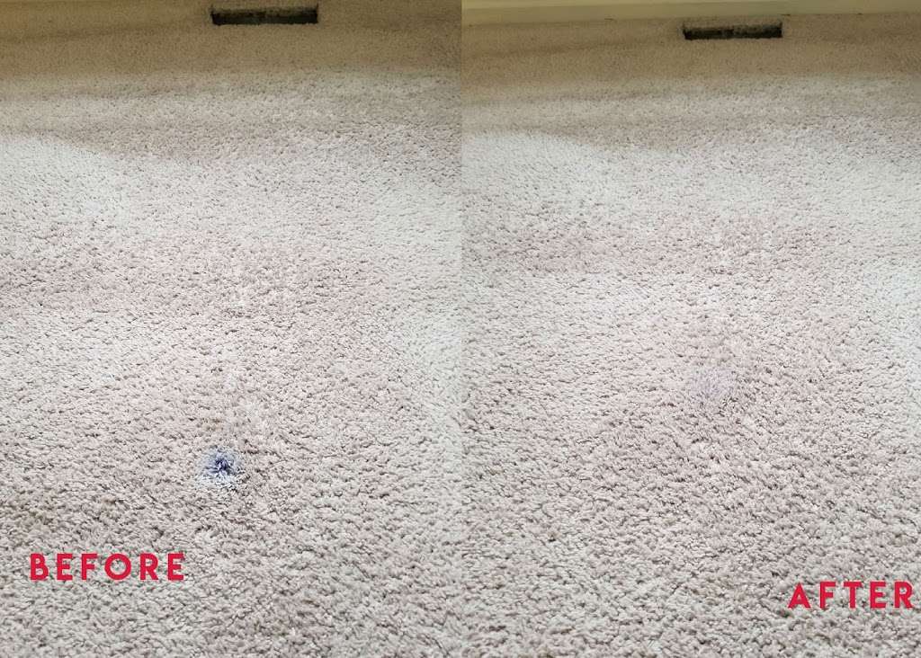 Leos Dry Carpet Cleaning | 45 Elmar Cir, Royersford, PA 19468 | Phone: (610) 220-4924