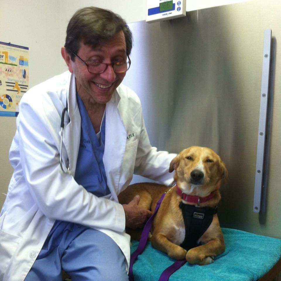 Holmdel Veterinary Clinic | 959 Holmdel Rd, Holmdel, NJ 07733, USA | Phone: (732) 946-7163