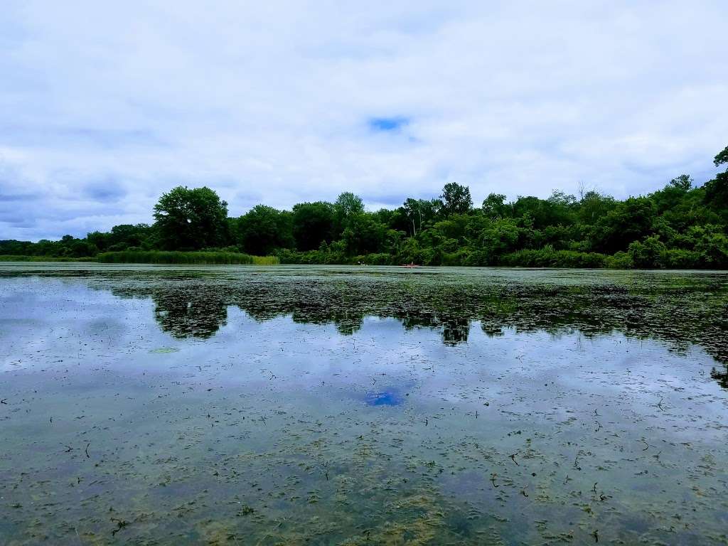 Hyper Humus Marsh | Newton, NJ 07860, USA