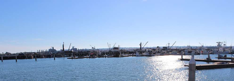 Bay Overlook | 3 Tuna Lane, San Diego, CA 92101, USA