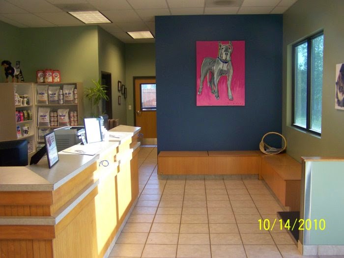 VCA Thornton Animal Hospital | 3555 E 104th Ave, Thornton, CO 80233, USA | Phone: (303) 452-8704