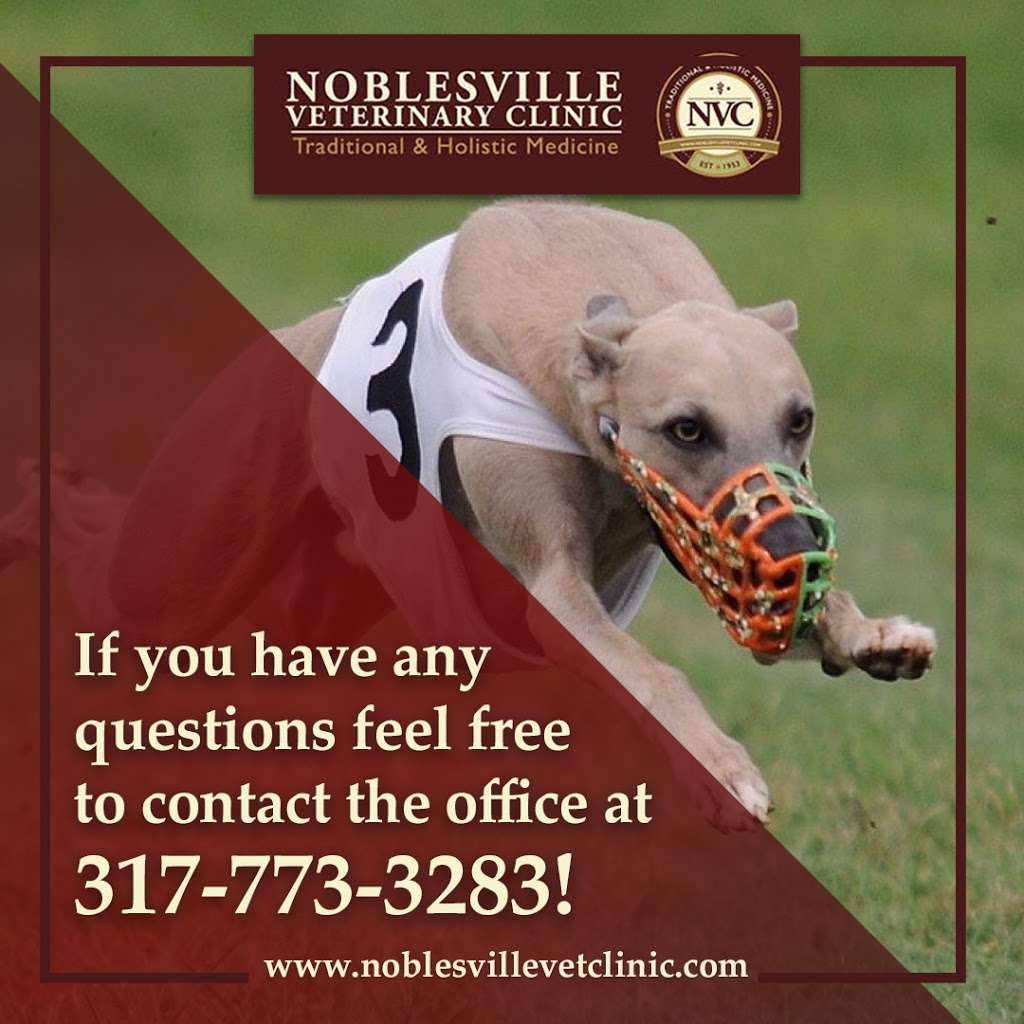 Noblesville Veterinary Clinic - Dr. Tim Fleck | 3355 Conner St, Noblesville, IN 46060, USA | Phone: (317) 773-3283