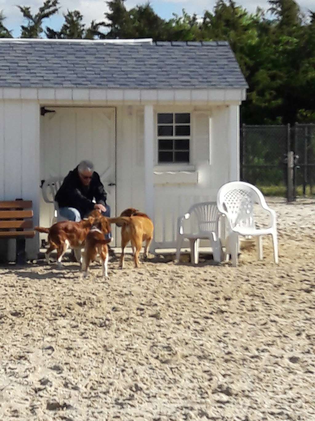 Ocean City Dog Park | 45th St & Haven Ave, Ocean City, NJ 08226 | Phone: (609) 399-6111