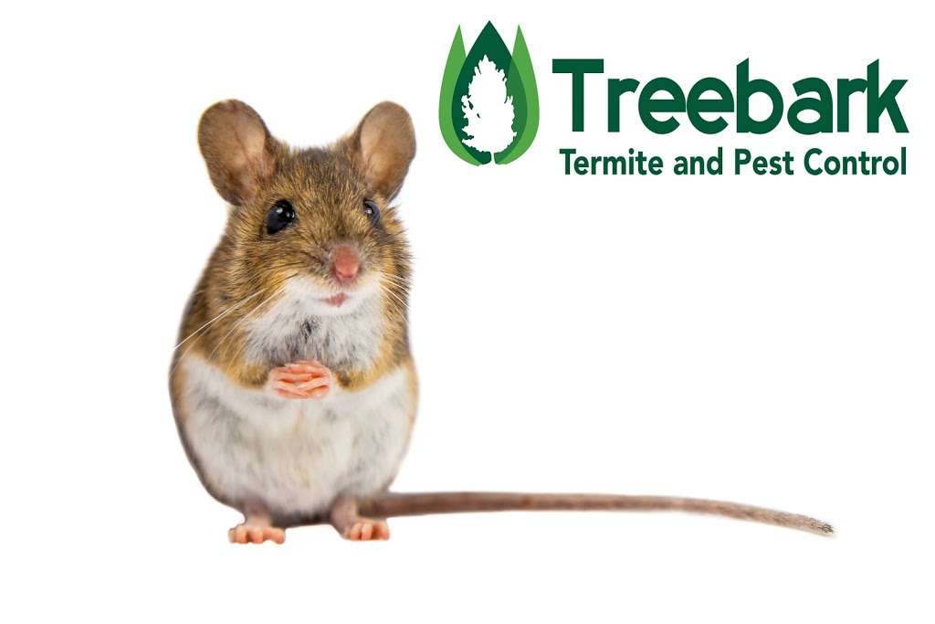 Treebark Termite and Pest Control | 1650 N Beverly Dr Unit A12, Beverly Hills, CA 90210, USA | Phone: (424) 252-2292