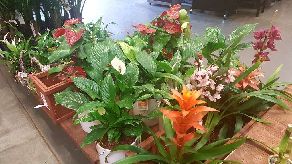 Garden Center at The Home Depot | 1177 Great Mall Dr, Milpitas, CA 95035, USA | Phone: (408) 942-7301