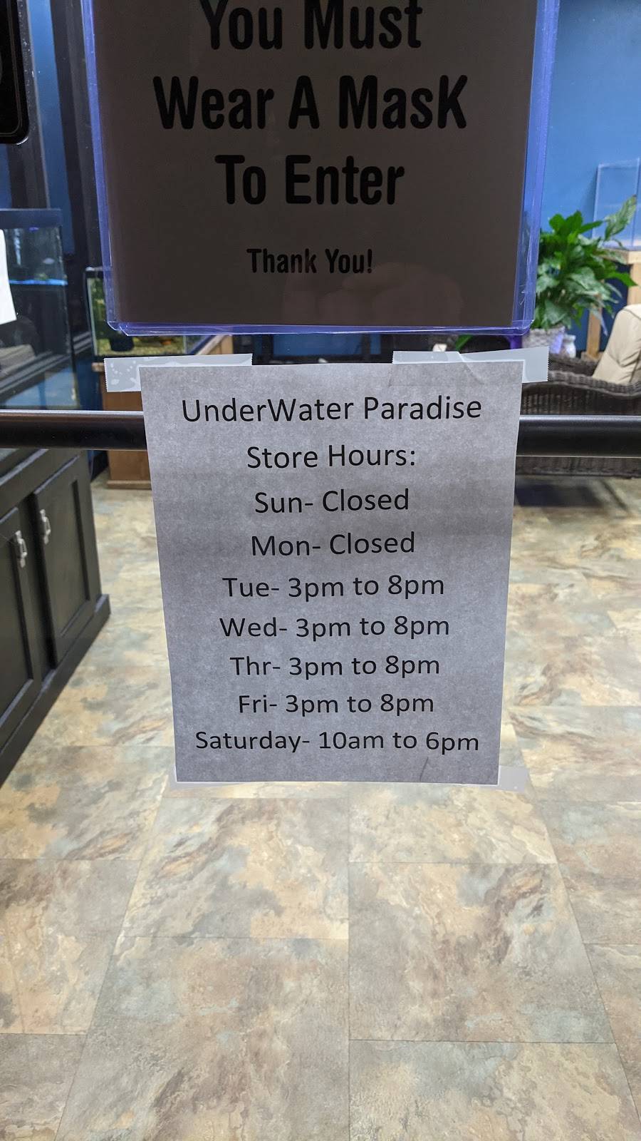 UnderWater Paradise | 2533a Vandalia St, Collinsville, IL 62234, USA | Phone: (618) 344-7333