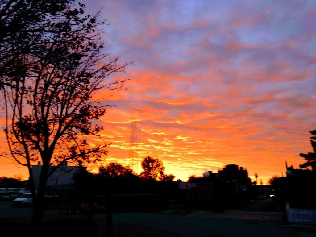 Red Hook Park | Bay St, Brooklyn, NY 11231, USA | Phone: (212) 639-9675 Red Hook Park | Bay St, Brooklyn, NY 11231, USA | Phone: (212) 639-9675