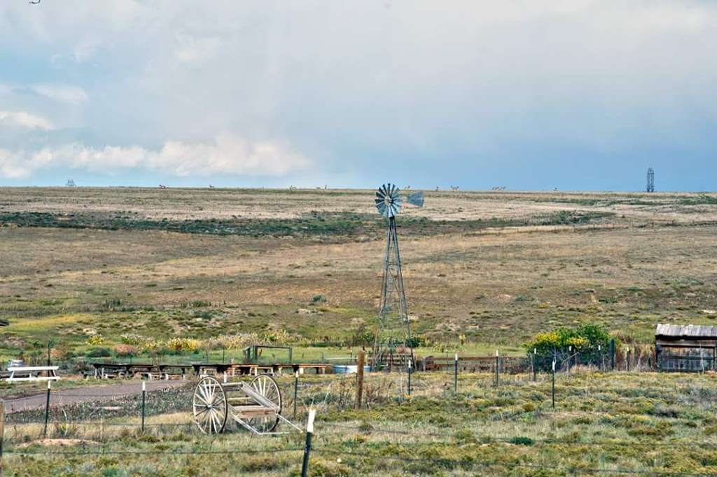 Plains Conservation Center | 21901 E Hampden Ave, Aurora, CO 80013 | Phone: (303) 326-8380