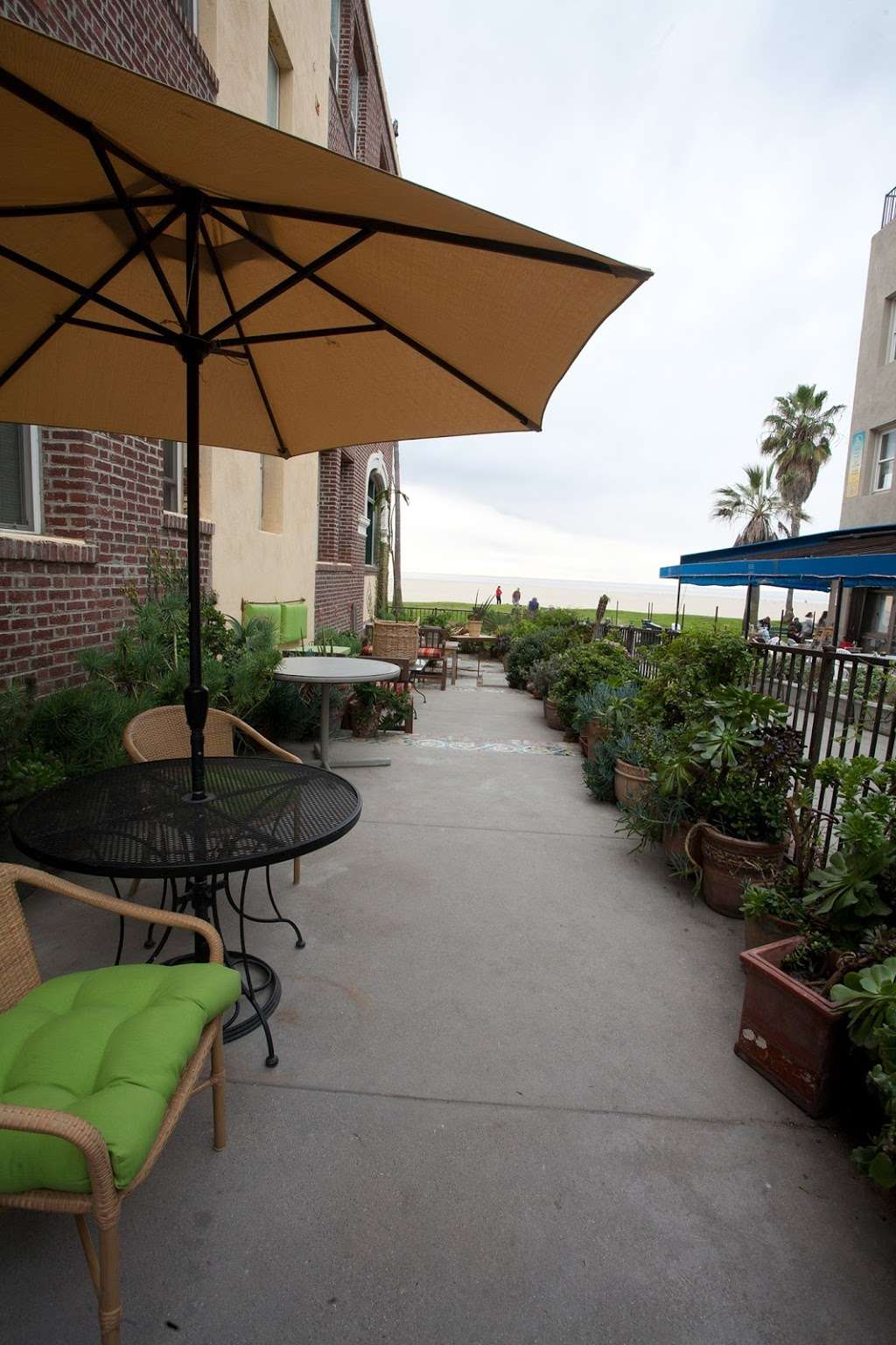 Phoenix House - Venice Beach | 503 Ocean Front Walk, Venice, CA 90291, USA | Phone: (818) 686-3100