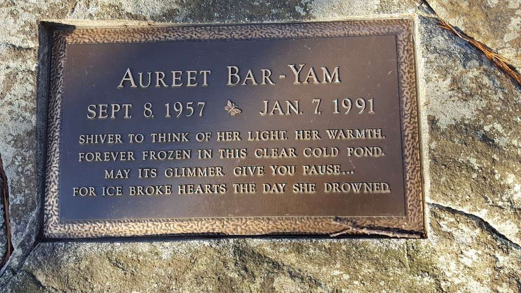 Aureet Bar-Yam Memorial | Lincoln, MA 01773, USA