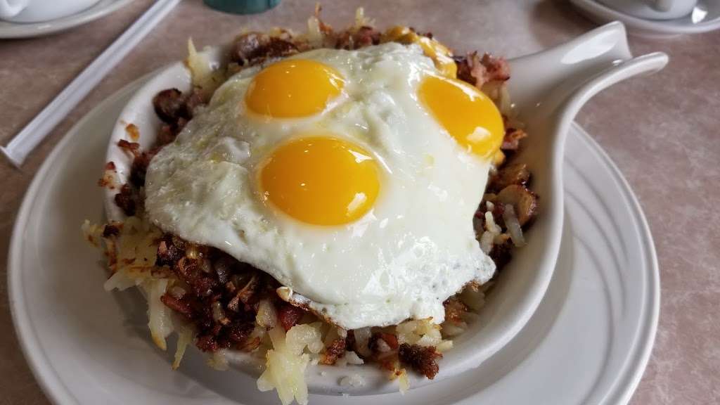 Palos Diner | 8052 W 111th St, Palos Hills, IL 60465, USA | Phone: (708) 974-3110