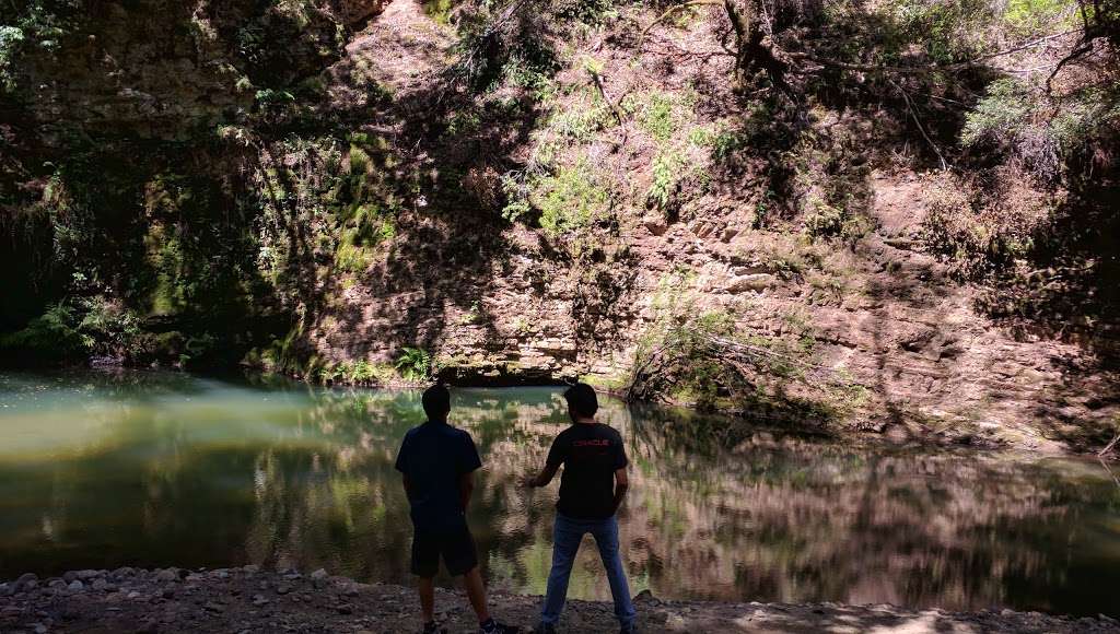 Point Group Camp, Portola Redwoods State Park | Point Group Camp Rd, La Honda, CA 94020, USA Point Group Camp, Portola Redwoods State Park | Point Group Camp Rd, La Honda, CA 94020, USA