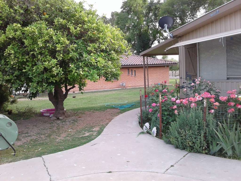 Emilio Farm | 8269 W Nicolet Ave, Glendale, AZ 85303, USA