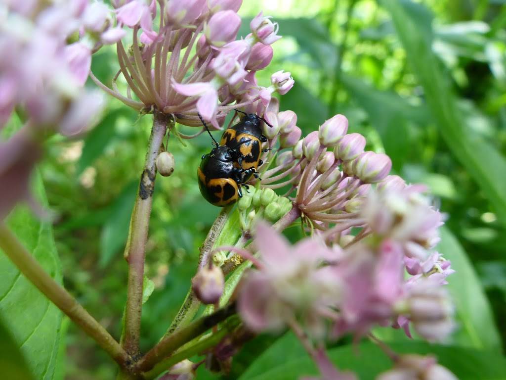 Boone County Conservation District | 6028 Camp Ernst Rd, Burlington, KY 41005, USA | Phone: (859) 586-7903