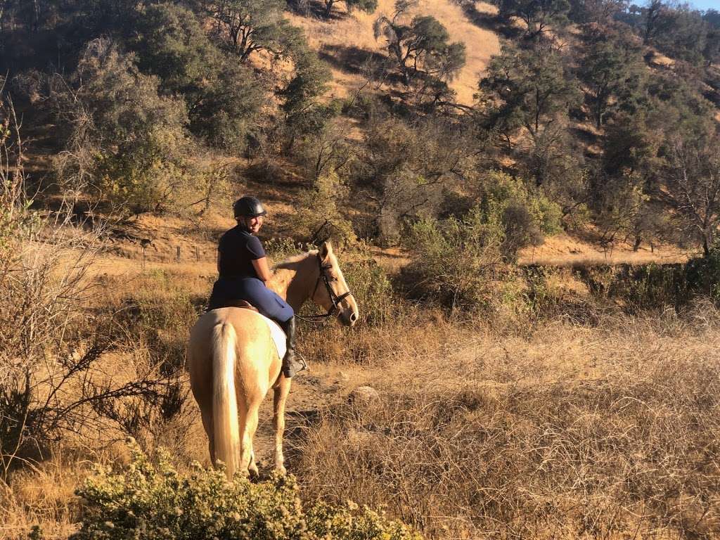 Canty Rune Training Stables | 10480 Creek Rd, Oak View, CA 93022 | Phone: (805) 203-3064