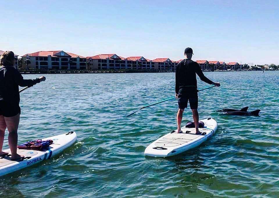 Paddleboard New Smyrna Beach | 175 N Causeway, New Smyrna Beach, FL 32169, USA | Phone: (386) 530-3868