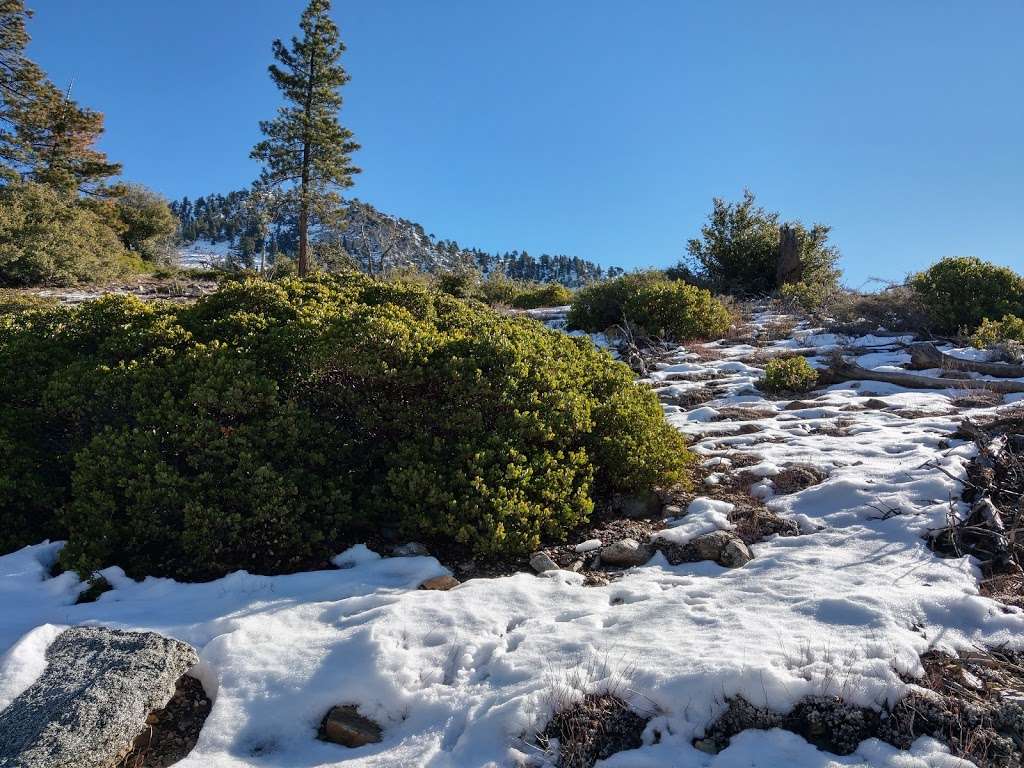 Windy Gap Trail | Windy Gap Trail, Azusa, CA 91702