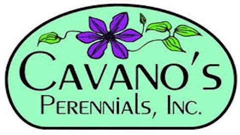 Cavano’s Perennials, Inc. | 6845 Sunshine Ave, Kingsville, MD 21087, USA | Phone: (410) 592-8077