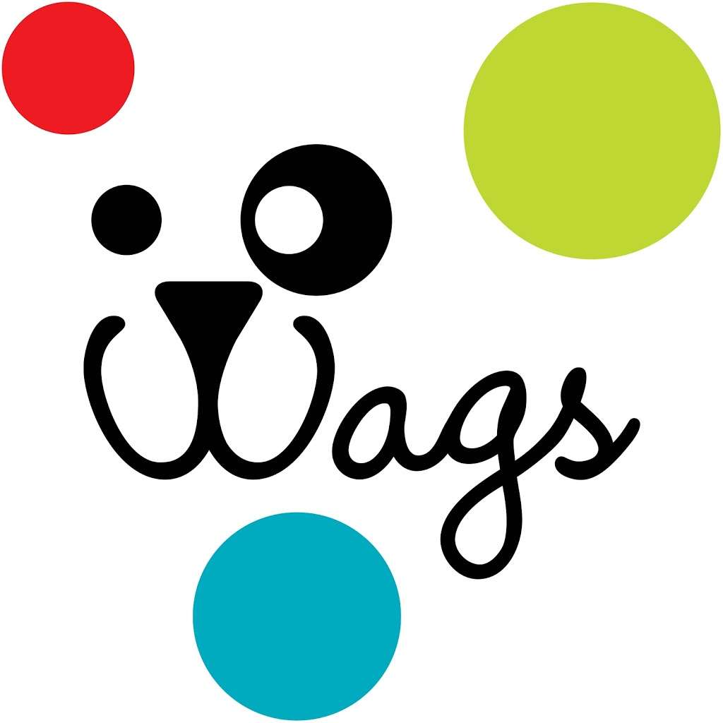 Wags Doggie Day Care | 91 Grapevine Rd, Wenham, MA 01984, USA | Phone: (978) 468-9924