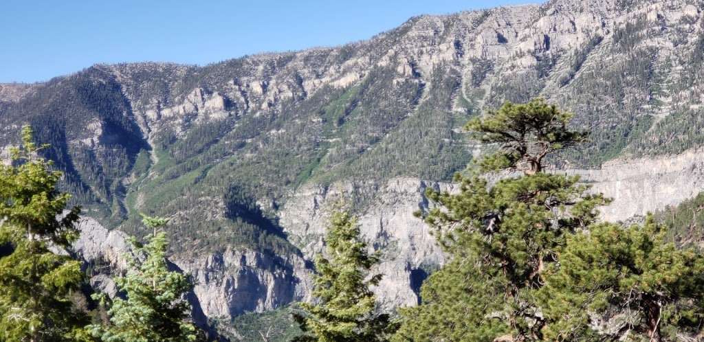 Trail Canyon Trail Head | Trail Canyon, Mt Charleston, NV 89124, USA | Phone: (702) 872-5486