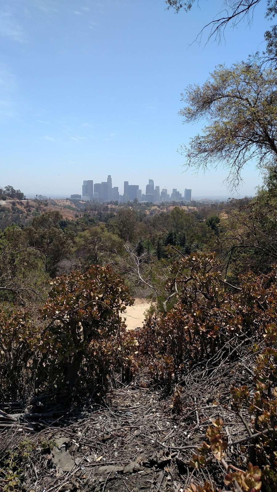 Elysian Park Reservoir Grand View Dr. - Elysian Reservoir, Los Angeles ...