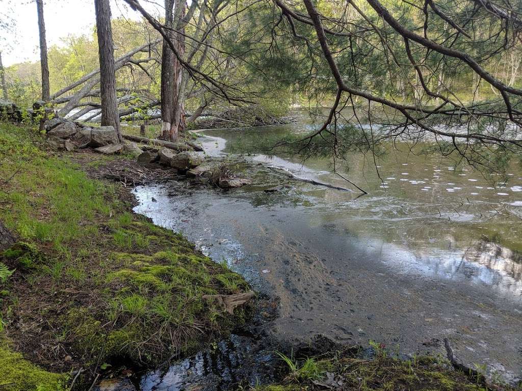 Brewer Brook Dam Trail | 148 Pleasant St, Berlin, MA 01503, USA