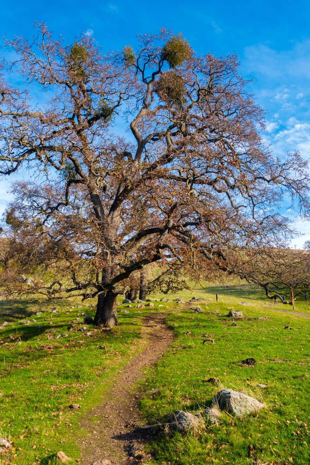 Little Yosemite Area | Geary Rd, Sunol, CA 94586, USA | Phone: (888) 327-2757