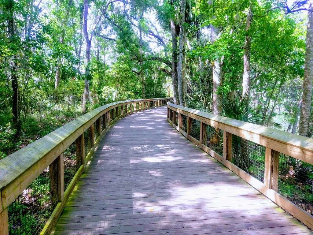 Blue Spring State Park | 2100 W French Ave, Orange City, FL 32763, USA | Phone: (386) 775-3663