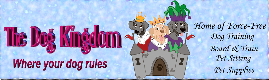 Dog Kingdom Pet Supply | 21 Sarah Ct, Earleville, MD 21919, USA | Phone: (443) 252-2062