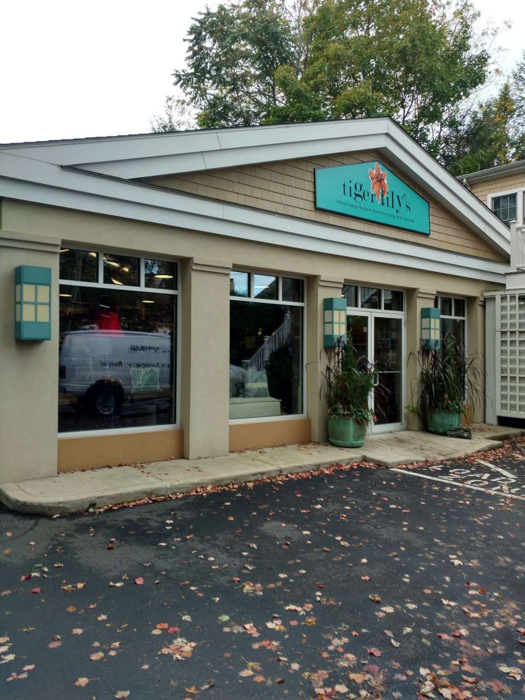 Tiger Lilys | 154 Prospect St, Greenwich, CT 06830, USA | Phone: (203) 629-6510